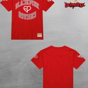 BLACKPINK X Chicago Bulls NBA 2025 All Over Print  Unisex T-Shirt